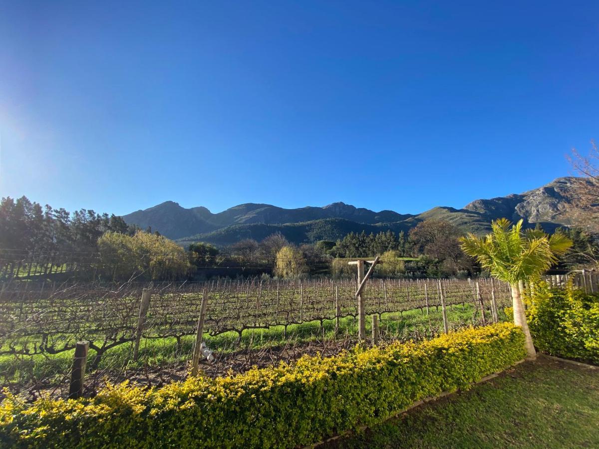 Olive&Vine Farm Cottage Franschhoek Esterno foto