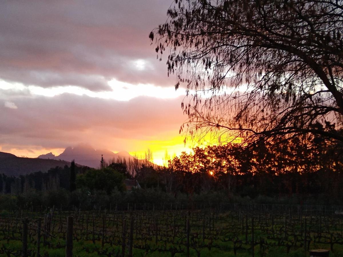 Olive&Vine Farm Cottage Franschhoek Esterno foto