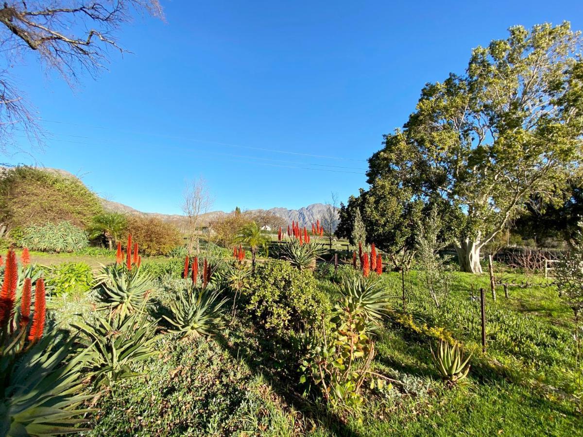 Olive&Vine Farm Cottage Franschhoek Esterno foto