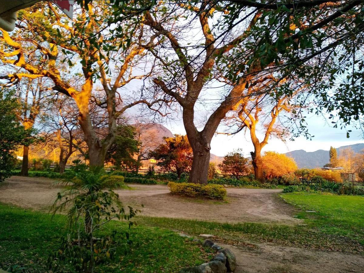 Olive&Vine Farm Cottage Franschhoek Esterno foto