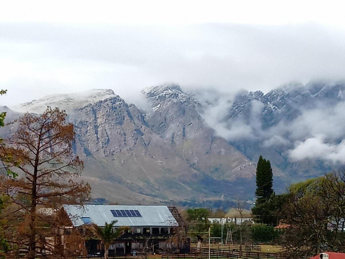Olive&Vine Farm Cottage Franschhoek Esterno foto
