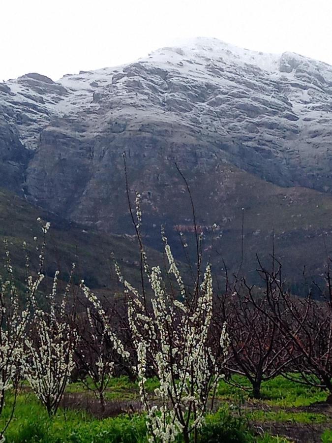 Olive&Vine Farm Cottage Franschhoek Esterno foto