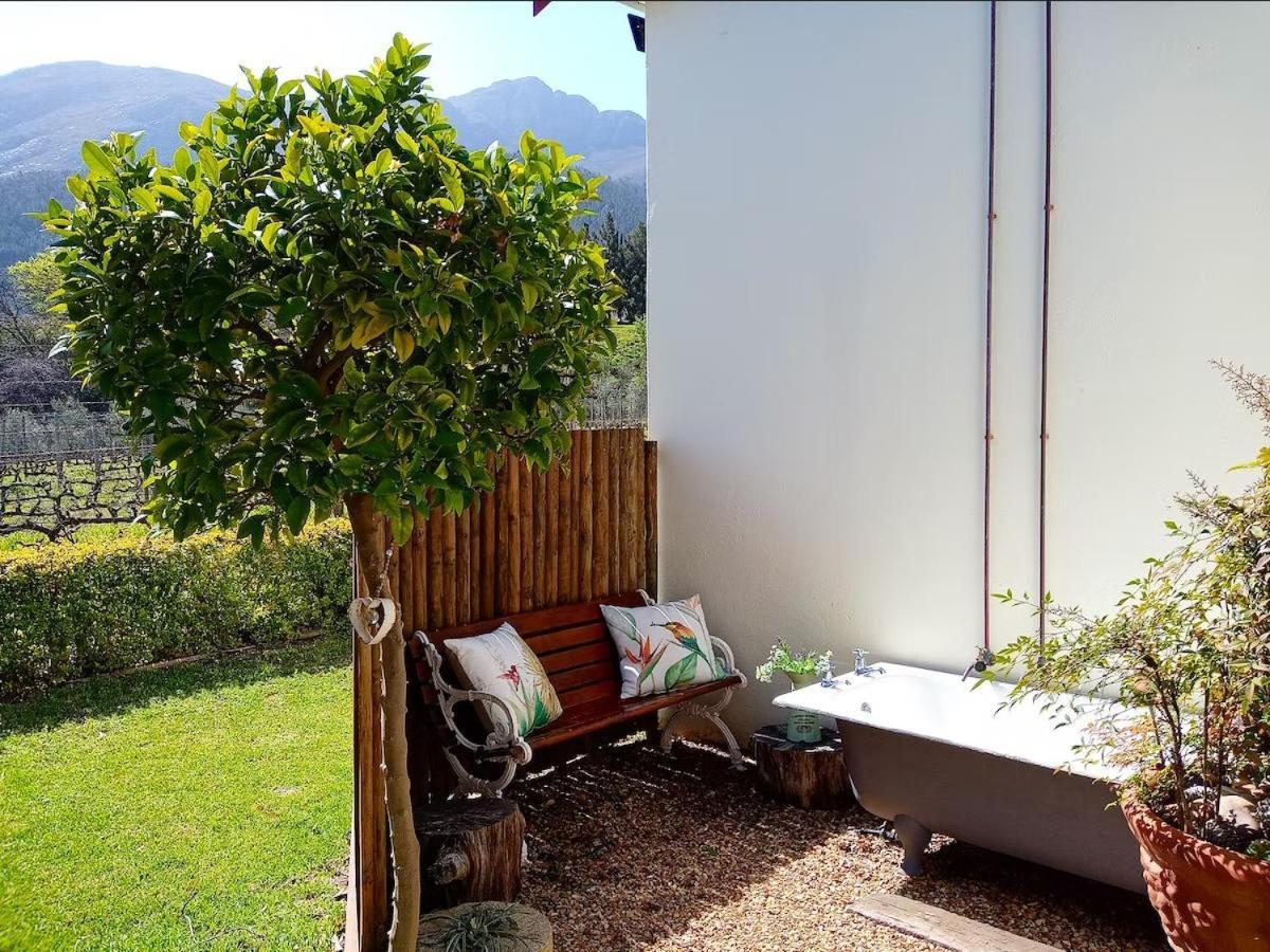 Olive&Vine Farm Cottage Franschhoek Camera foto