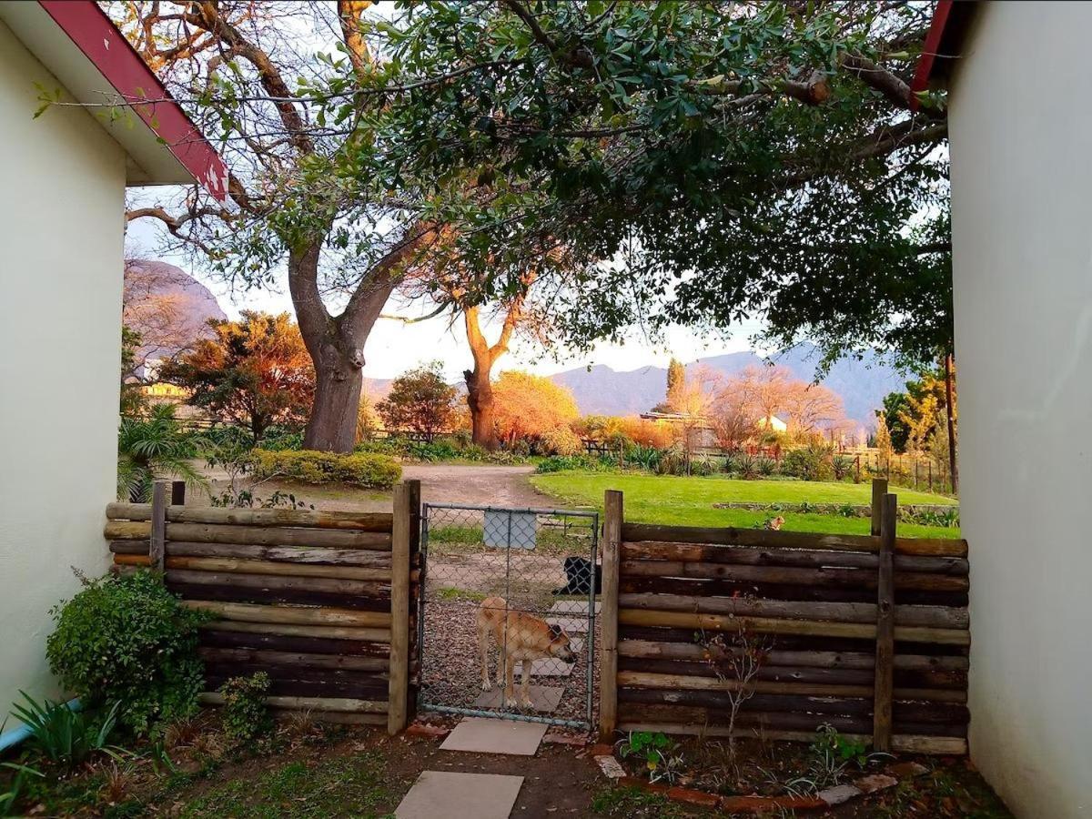 Olive&Vine Farm Cottage Franschhoek Camera foto